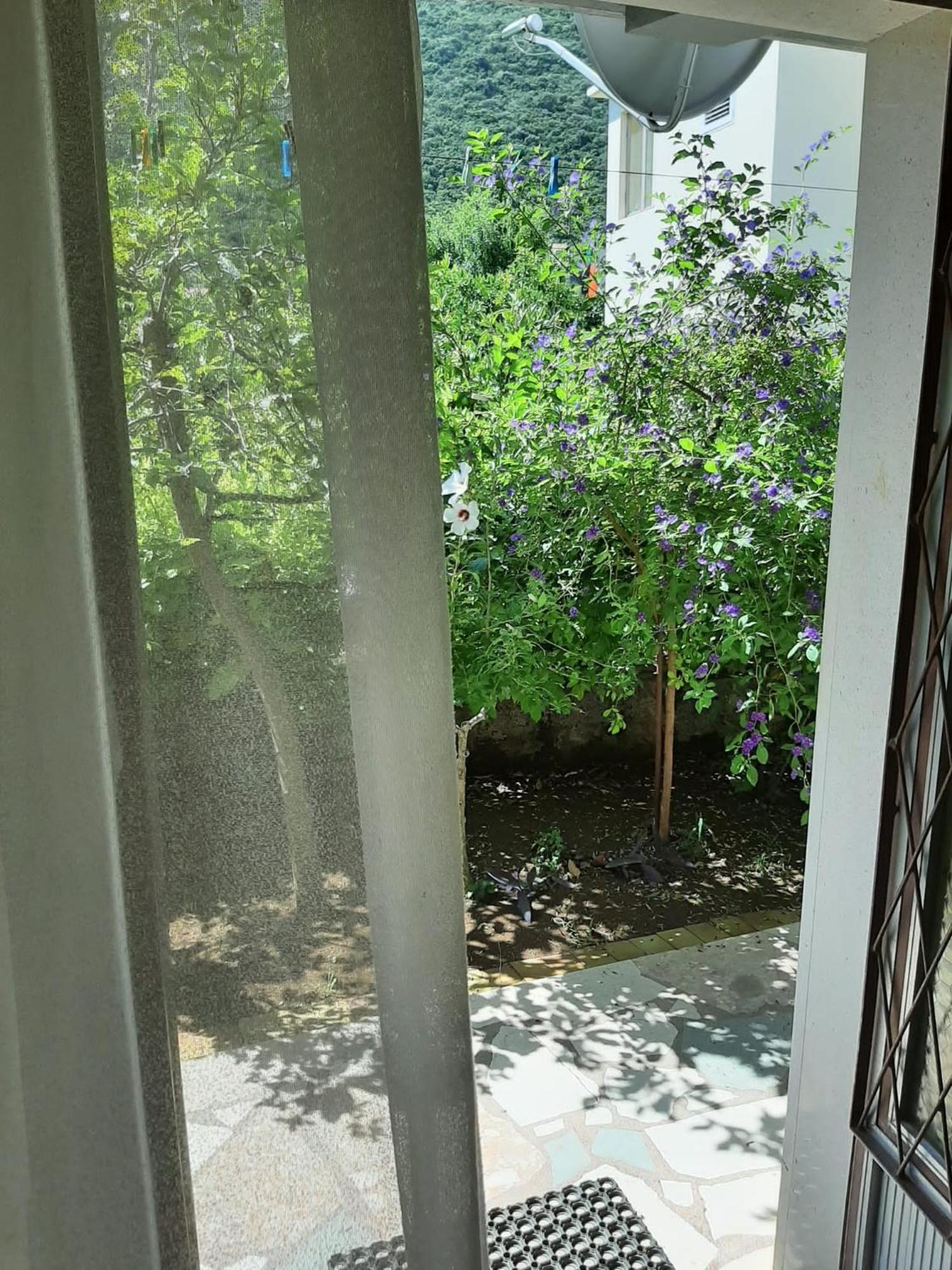 Apartments And Rooms With Parking Space Trpanj, Peljesac - 250 Habitación foto